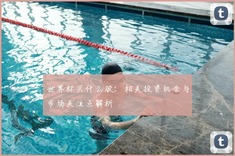 世界杯买什么股：相关投资机会与市场关注点解析