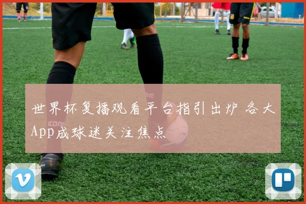 世界杯复播观看平台指引出炉 各大App成球迷关注焦点