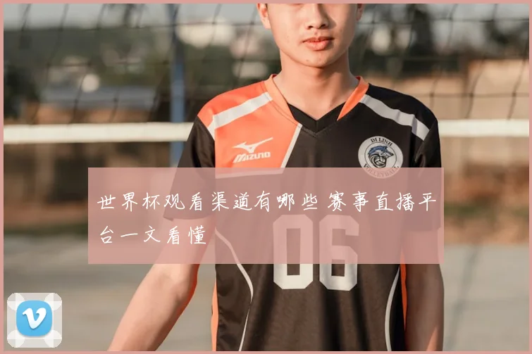 世界杯观看渠道有哪些 赛事直播平台一文看懂