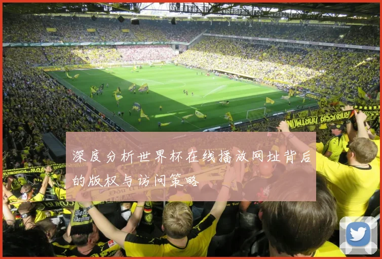 深度分析世界杯在线播放网址背后的版权与访问策略