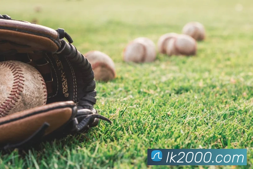互动解说服务