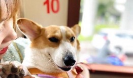 热门八卦娱乐吃瓜搞笑,笑料百出，八卦连连，揭秘明星幕后趣事