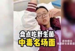 娱乐吃瓜酱野生字幕菌,揭秘幕后花絮，带你领略影视圈真实一面