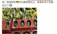 蹭网吃瓜,揭秘“吃瓜”背后的社交生态