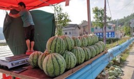 关于武都网红吃瓜事件