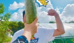 会长吃瓜网红,网红圈风云再起