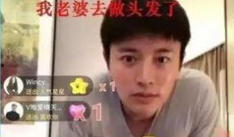 娱乐圈吃瓜贾乃亮是谁,娱乐圈吃瓜群众心中的焦点人物