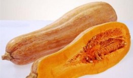 718sx娱乐吃瓜备用,吃瓜群众必备的备用资讯平台