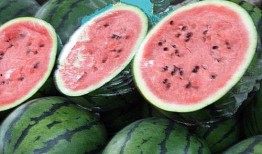 黑网料吃瓜网接回家,揭秘网络世界的神秘接回家事件