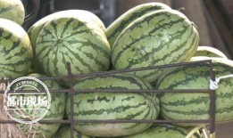 网红西瓜一瓜三吃,创意美食新潮流