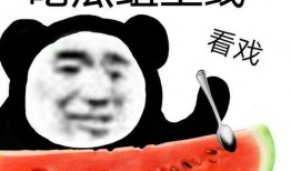 吃瓜网免费吃瓜黑料视频,免费畅享黑料视频，带你领略网络世界的另一面