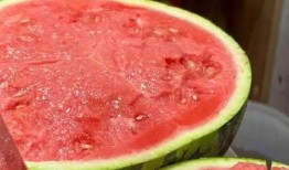 黑网料吃瓜网接回家,揭秘网络世界的神秘接回家事件