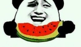 吃瓜群众的网语,揭秘娱乐圈那些事儿