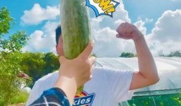 吃瓜网红文案,揭秘网红吃瓜背后的故事