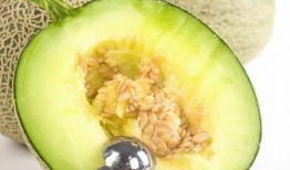 吃瓜网全部,揭秘娱乐圈幕后故事，带你领略明星真实生活