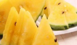 黑网料吃瓜网是什么,网络暗流涌动的秘密世界