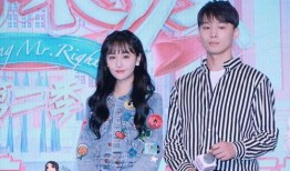 娱乐圈吃瓜拼图,吃瓜群众眼中的明星幕后故事