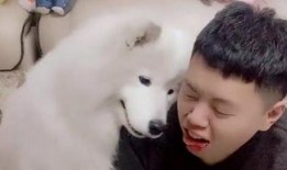 官狼吃瓜网,揭秘娱乐圈幕后真相，带你领略明星生活百态